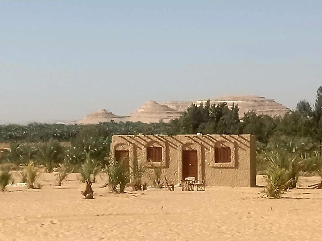 Hayaat Siwa Hot Spring Hotel Siwa Oasis ห้อง รูปภาพ